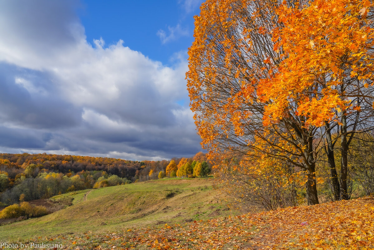 Октябрь в Царицыно... - Владимир Жданов Октябрь в Царицыно... - Владимир Жданов