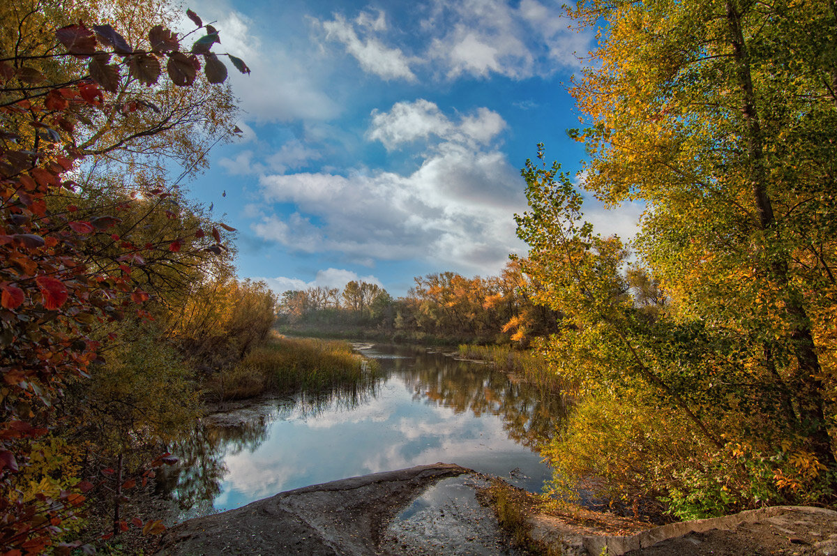 Природный парк Волго-Ахтубинская пойма. - Дина Евсеева
