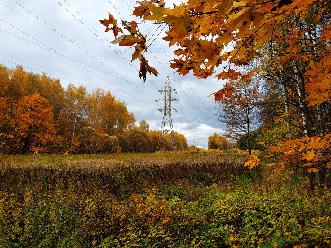 Зрелая осень - Андрей Лукьянов