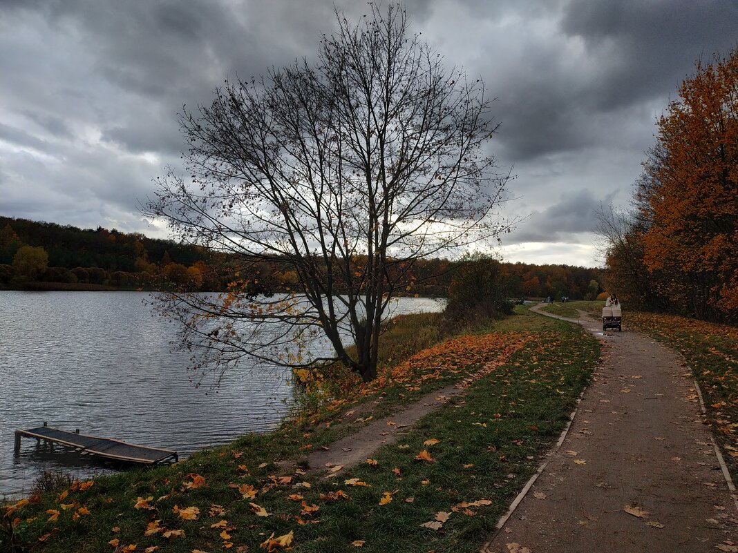 Зрелая осень - Андрей Лукьянов Зрелая осень - Андрей Лукьянов