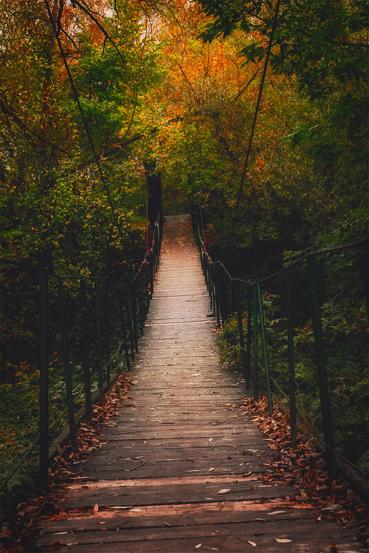 старый подвесной мост - Michel 