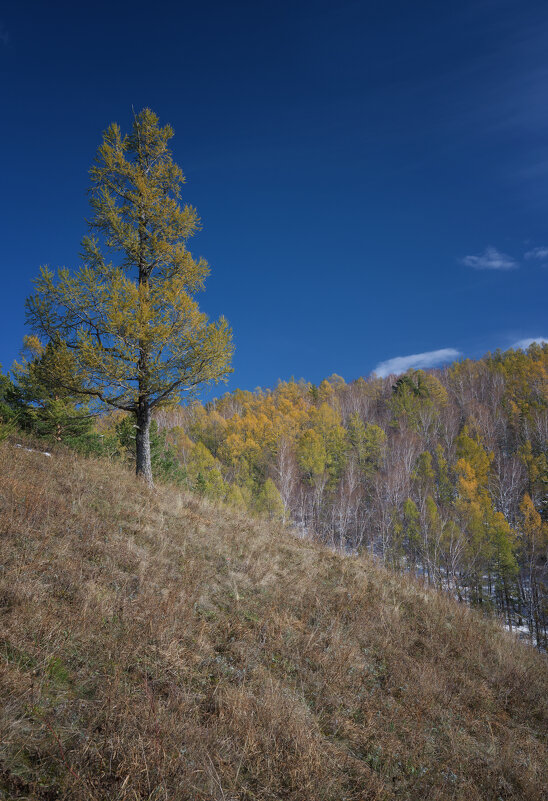 * - Александр Иванов