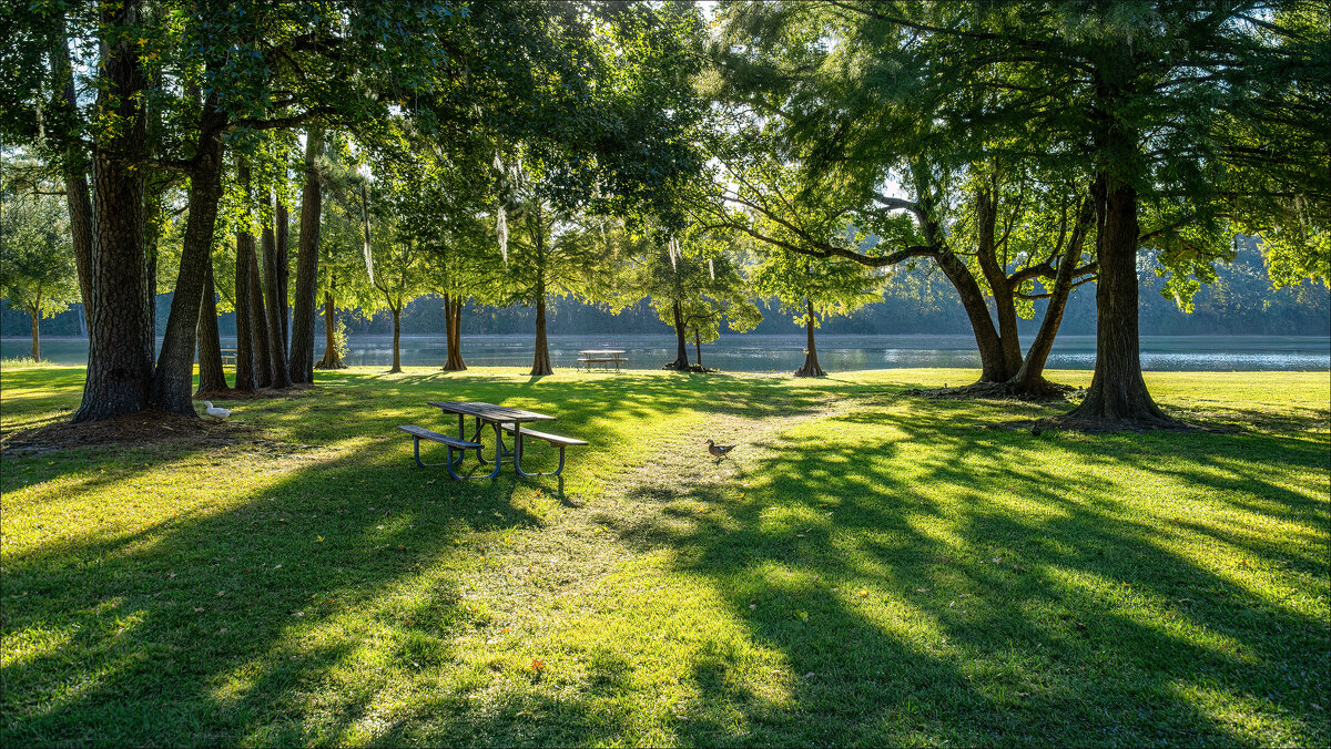 Парк Берроуз - **** vedin