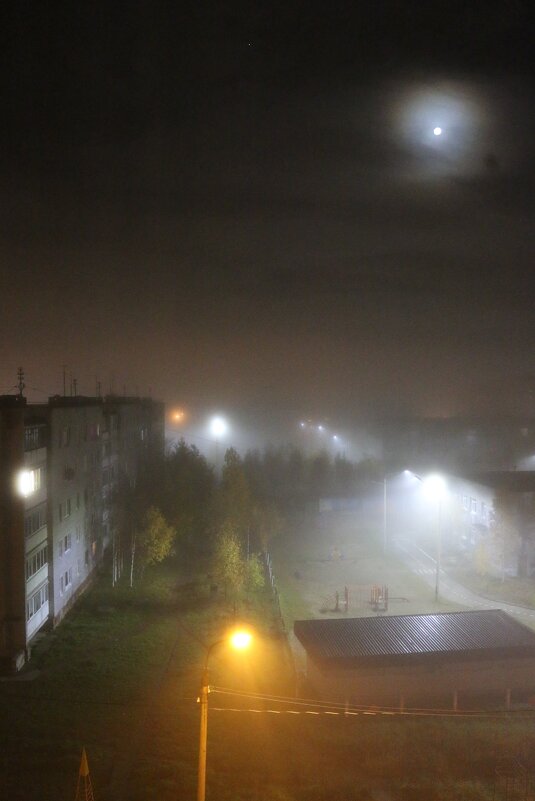 Туманная ночь - Ольга Туманная ночь - Ольга