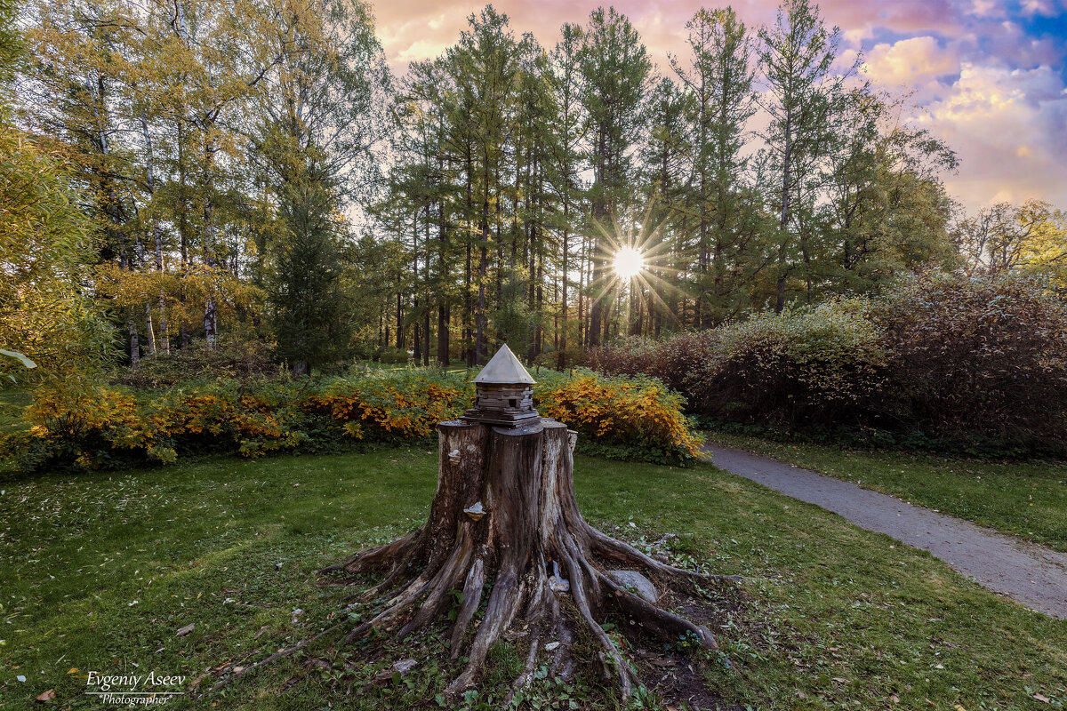 Осенний рассвет - Евгений 