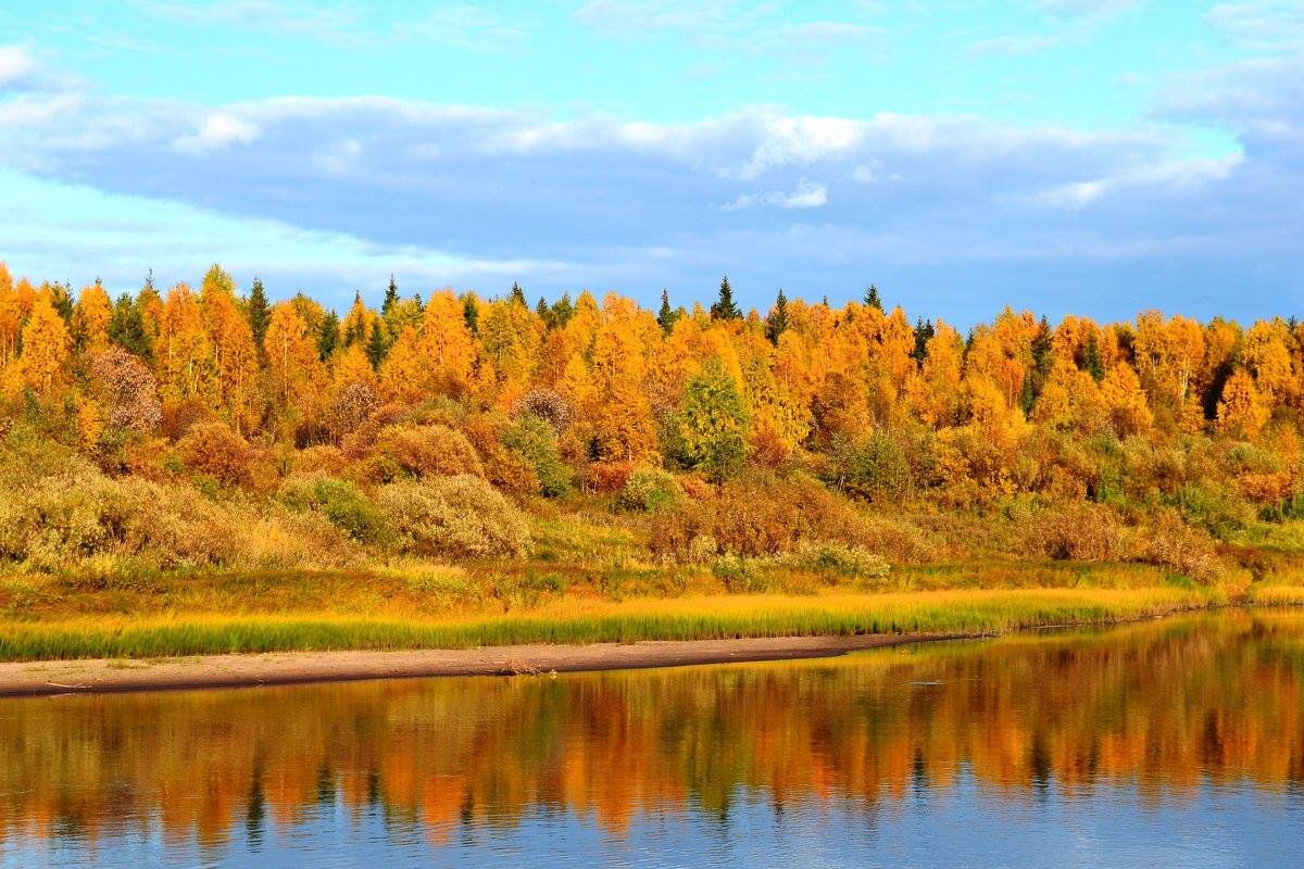 Осінь - Степан Карачко
