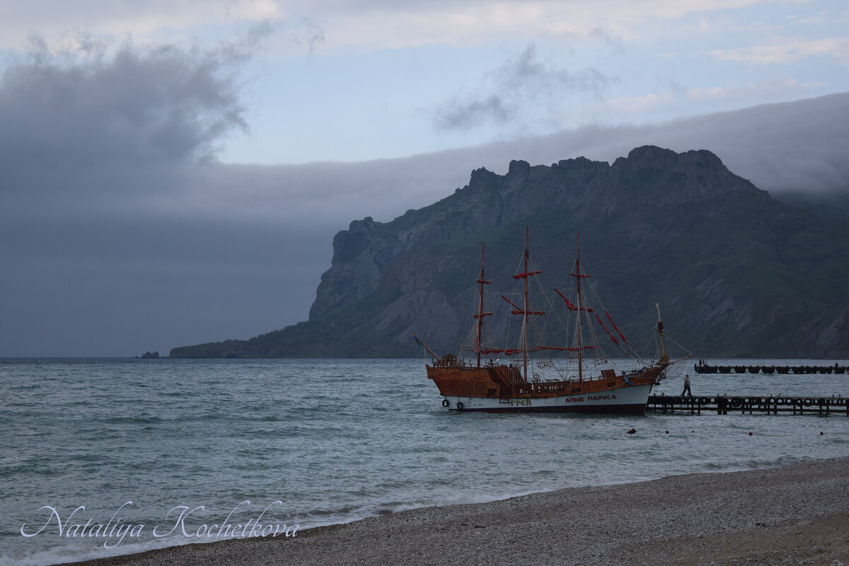 Природа Крыма - Amazing Cosmea