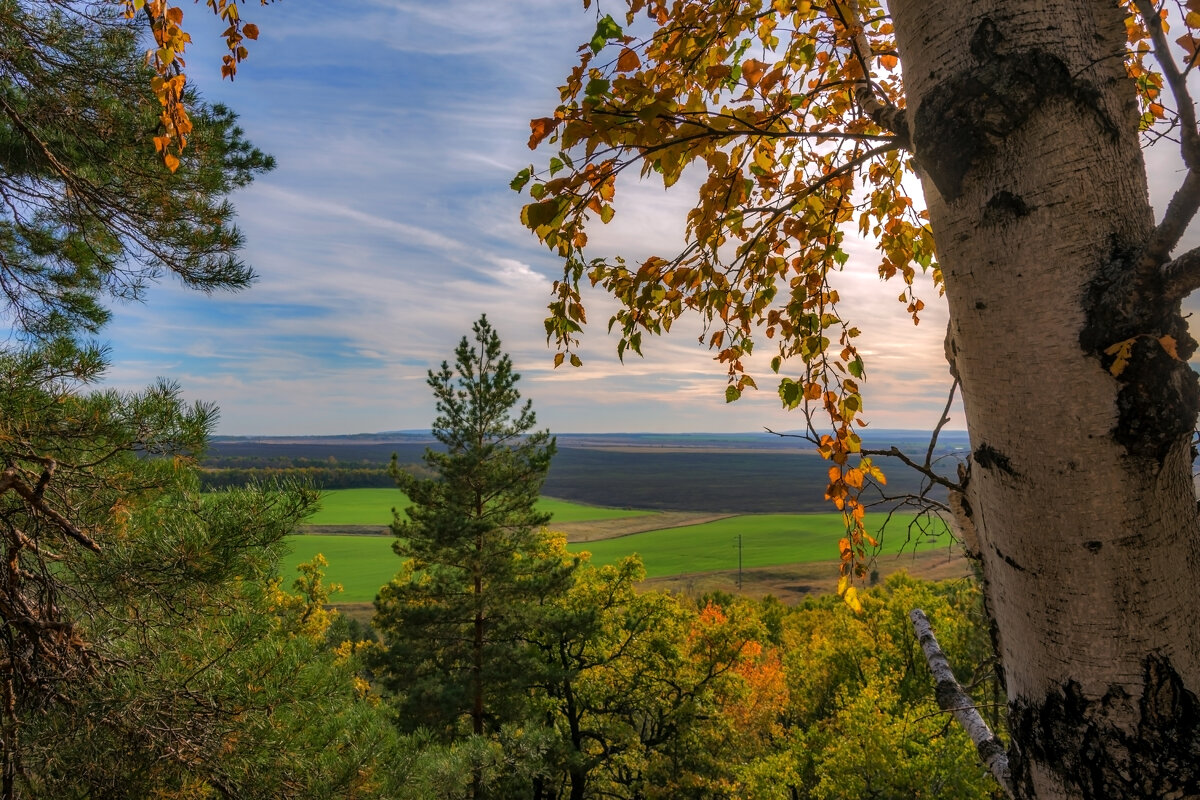 Мелодию осенней песни октябрь вновь подарит нам - Наталья Димова