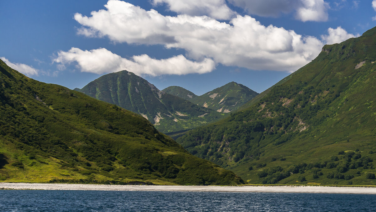 ... - Жора Житников