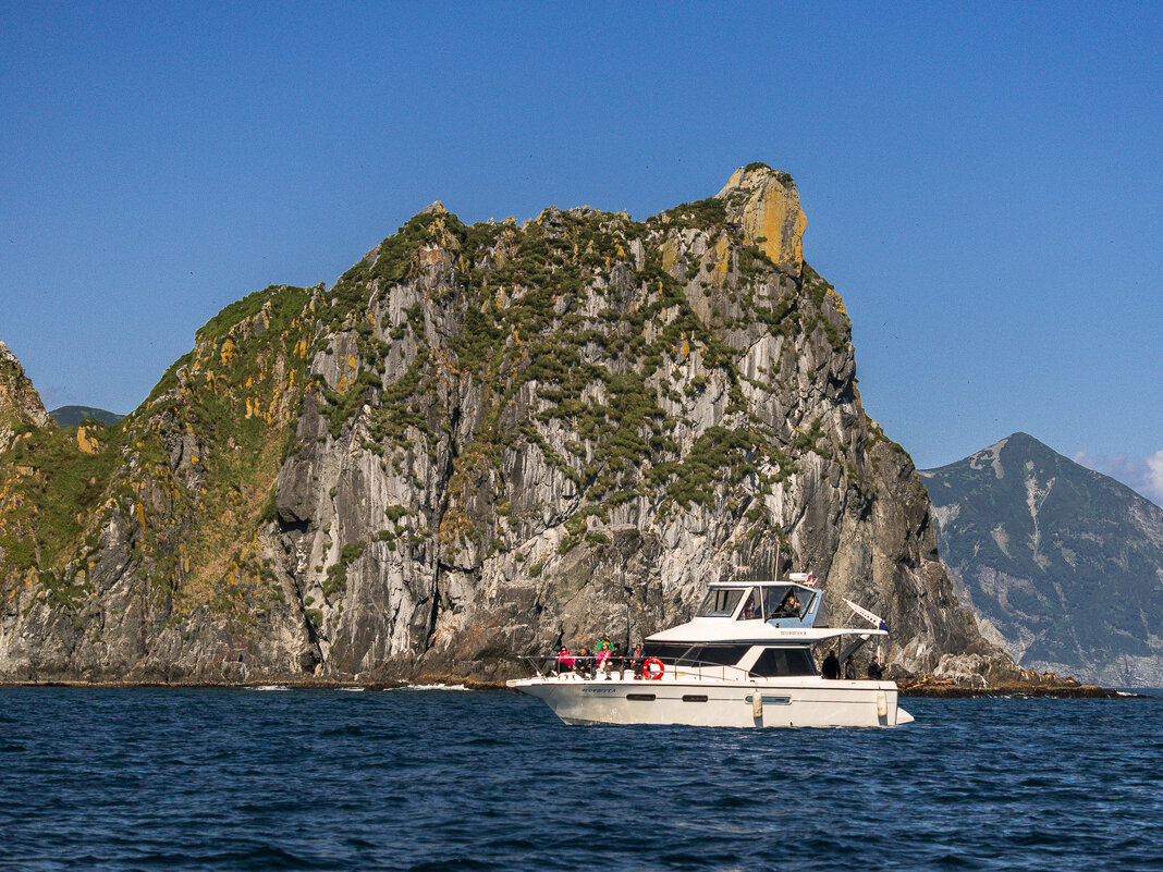 ... - Жора Житников