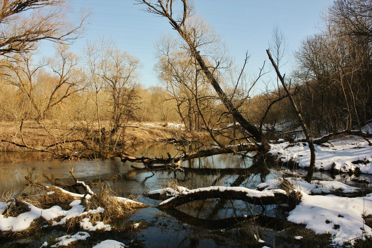 весна на реке рожайка - Сергей Лычагин