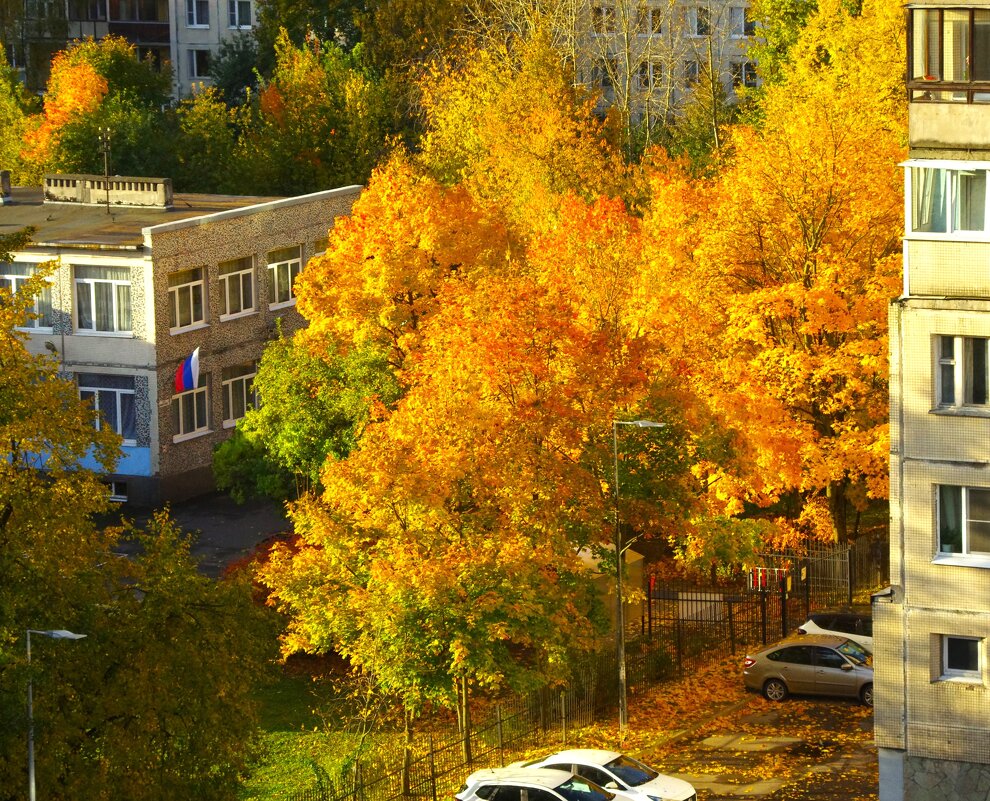 Внезапный луч солнца... вечера - Юрий Куликов