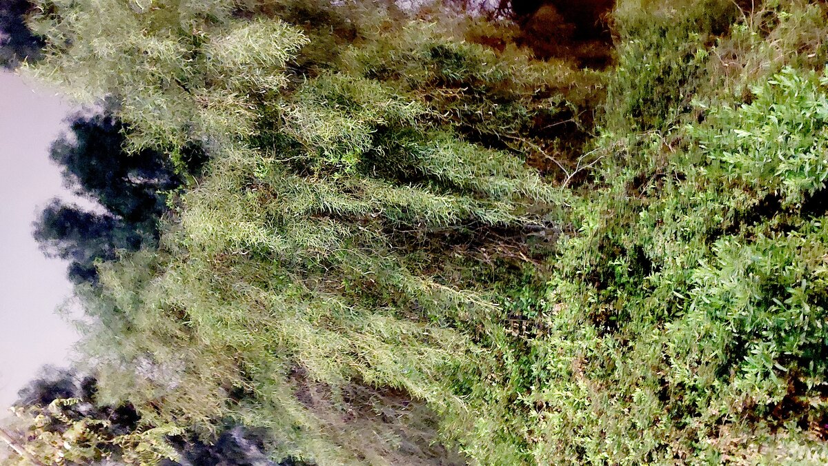 13  ОПЕН (504) - OPEN WAYS ALL