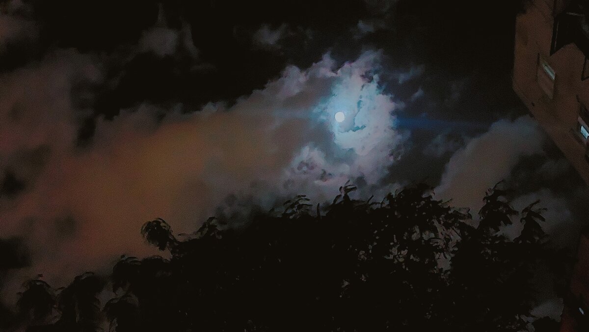 13  ОПЕН (507) - OPEN WAYS ALL