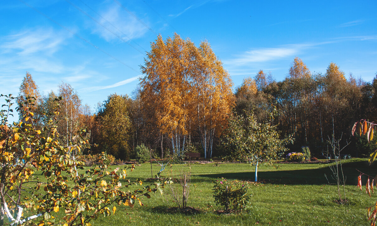 осень в деревне Белое. - Владимир Зеленцов