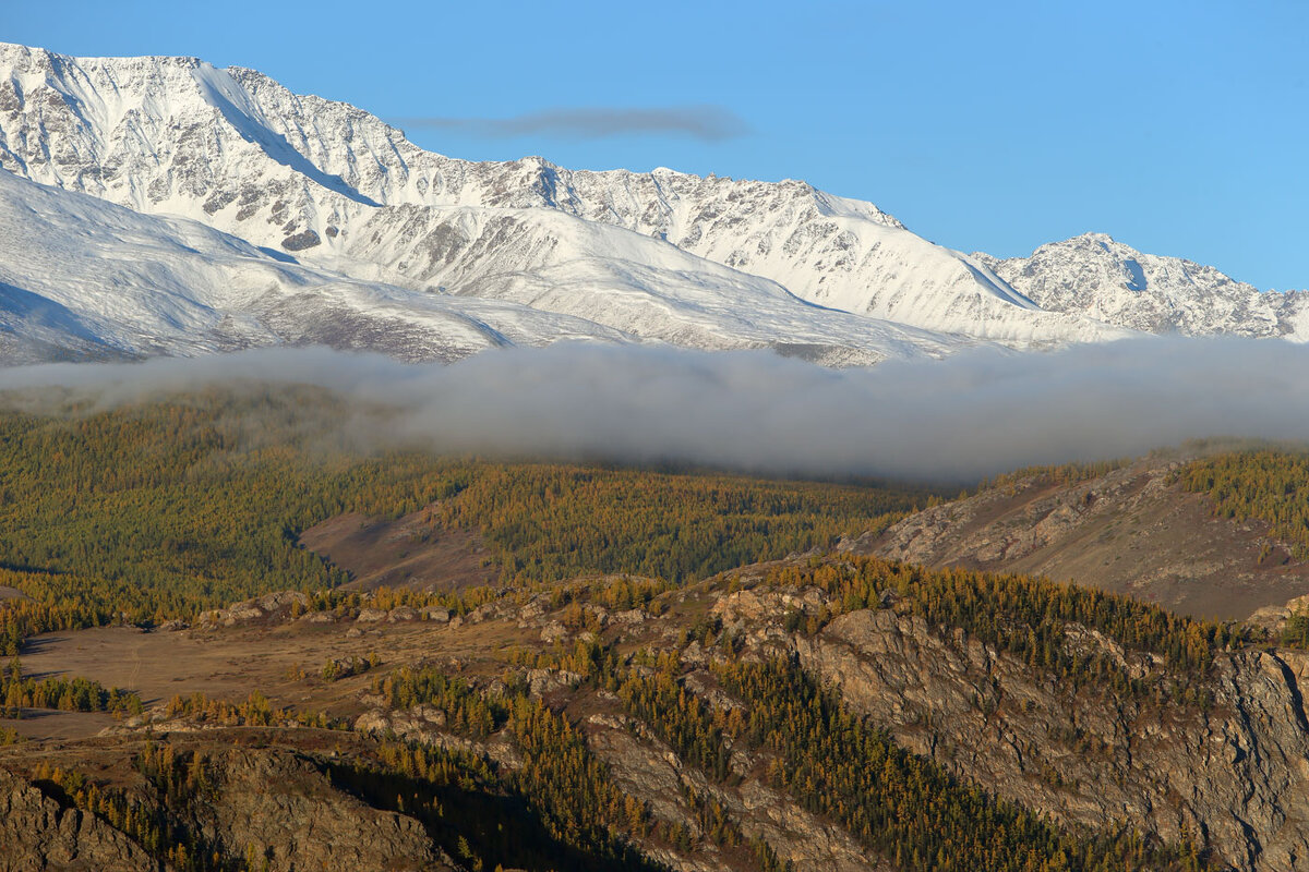 *** - владимир 