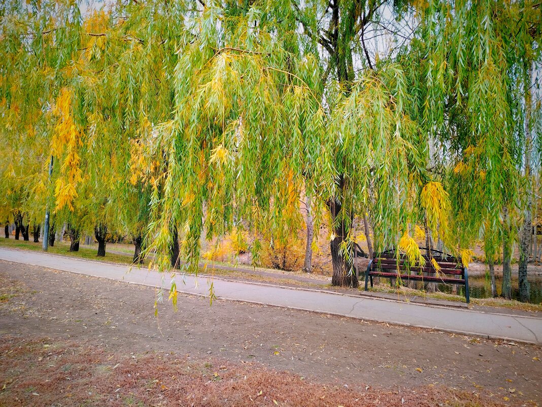 Самара. Парк Воронежские озера - Надежда 