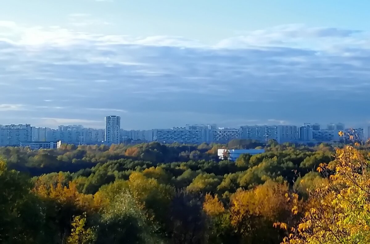 Синий час - Тамара Вебер