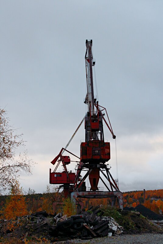 Старый великан - Мария 