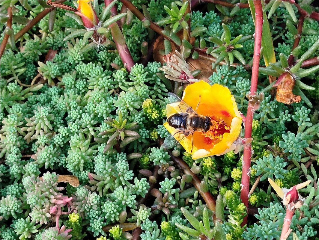 Вкусно! - Надежда Вкусно! - Надежда