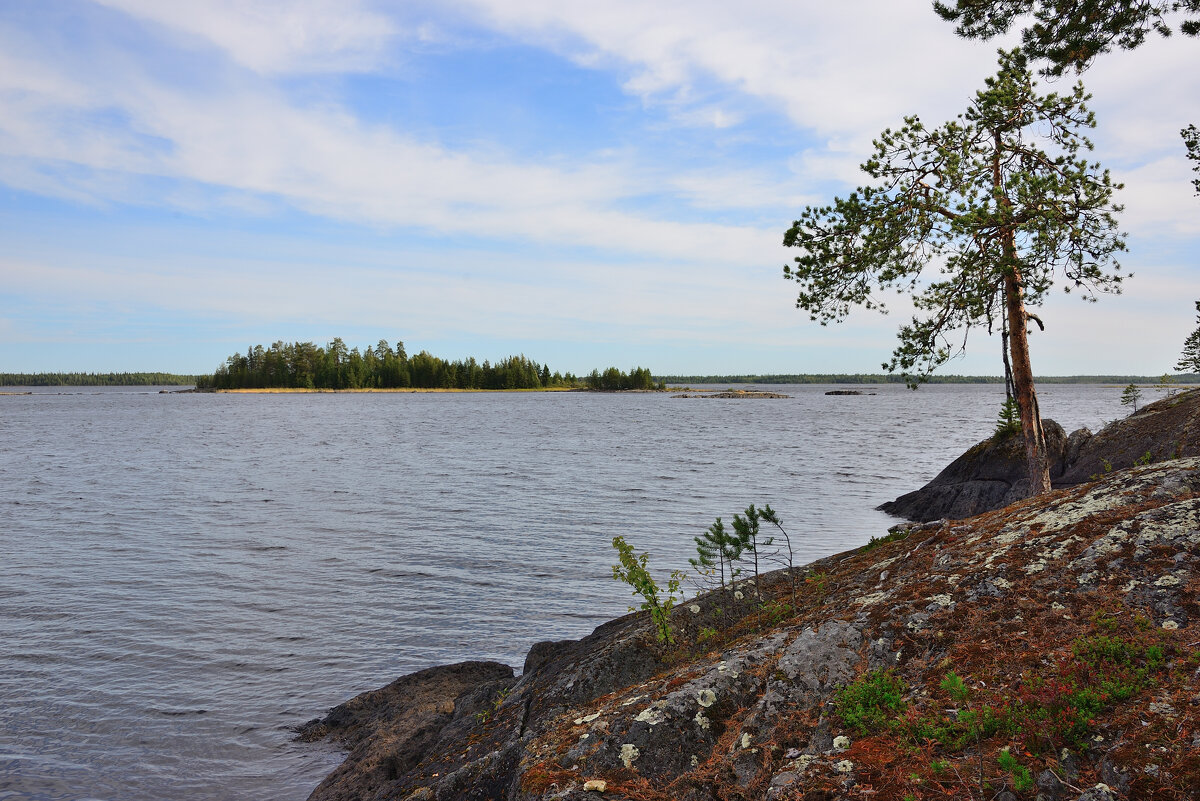 ** - Александр Хаецкий