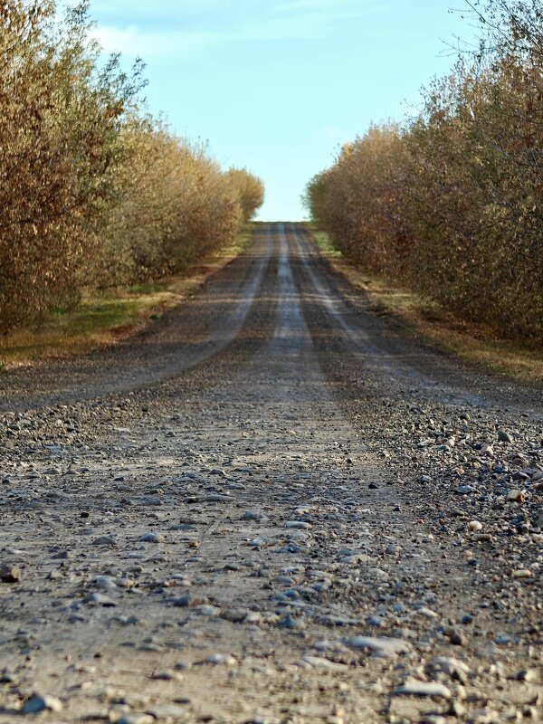 Дорога - Надежда 