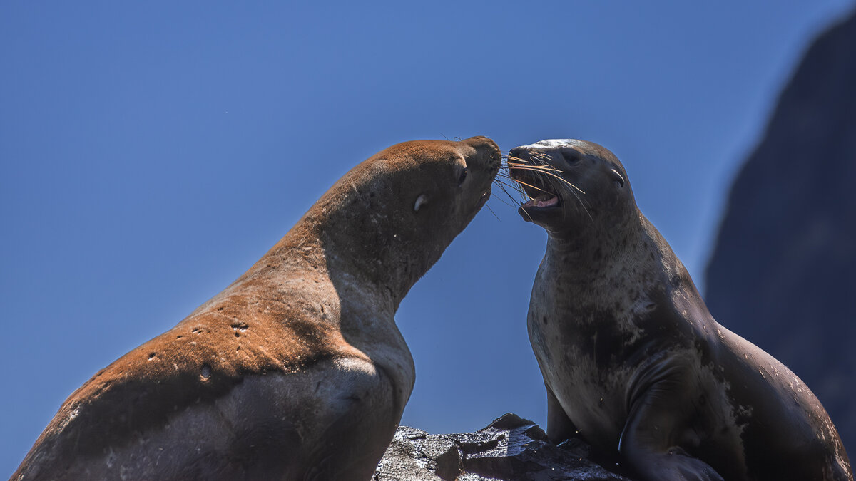 ... - Жора Житников