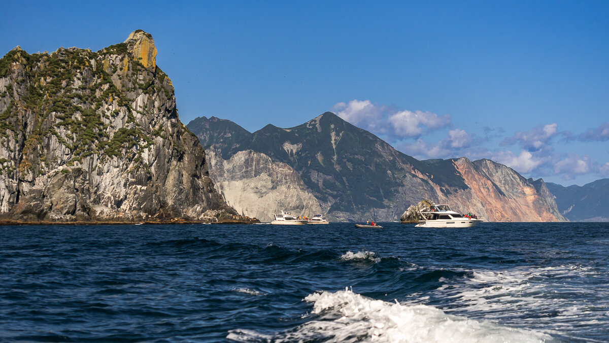 ... - Жора Житников