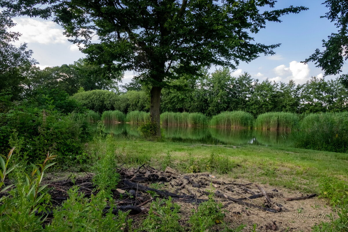 На старом кострище... - Николай Гирш На старом кострище... - Николай Гирш