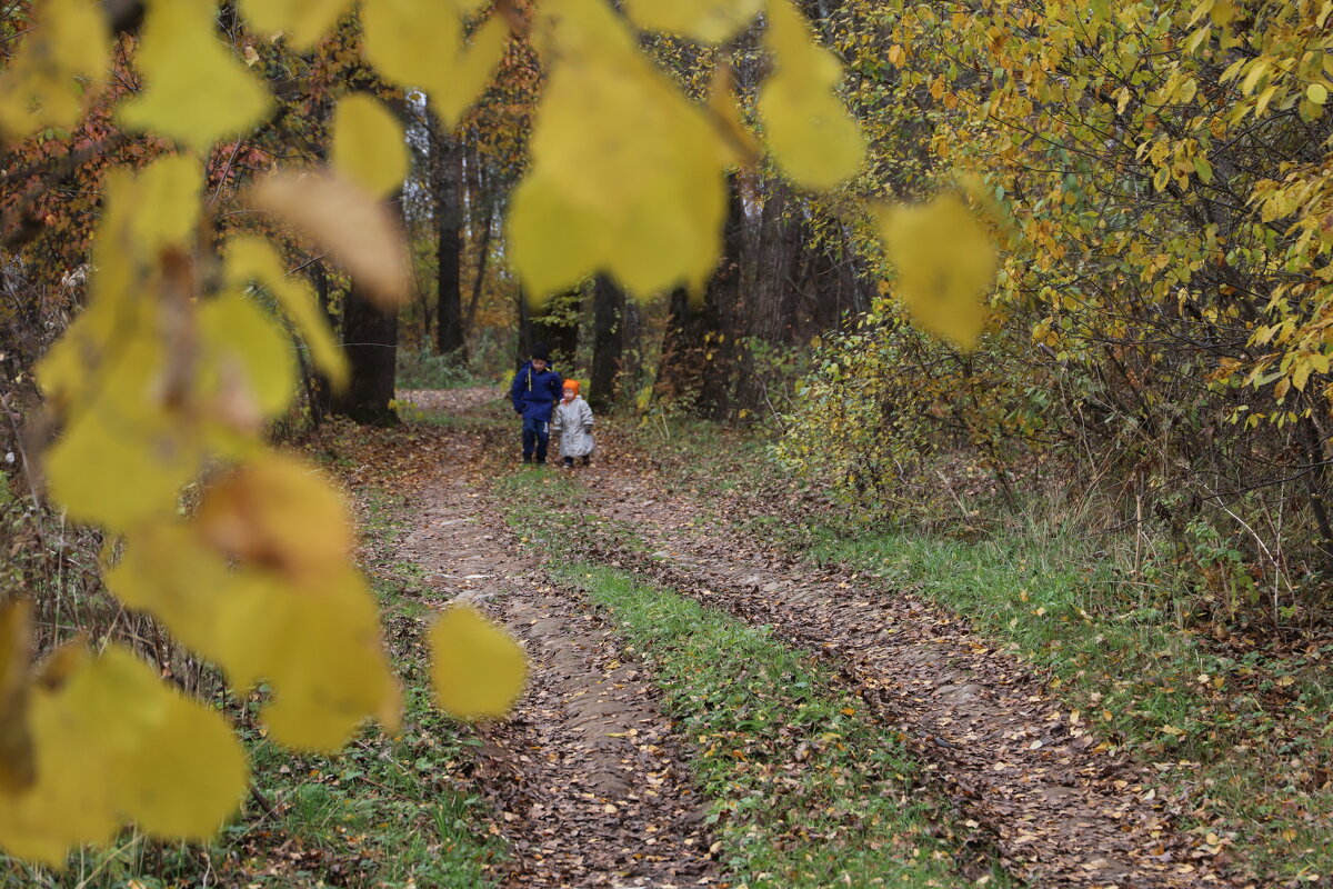 Брат с сестрой ! - краснов юрий 