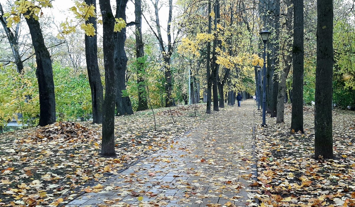 Октябрь - Наталья Герасимова