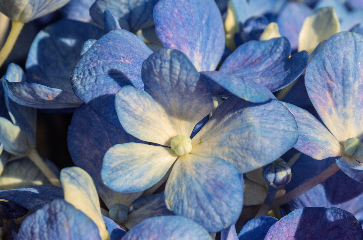 *** - Виктор Иванович Чернюк