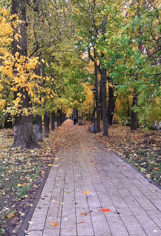 Шлиссельбург. Октябрь - Наталья Герасимова