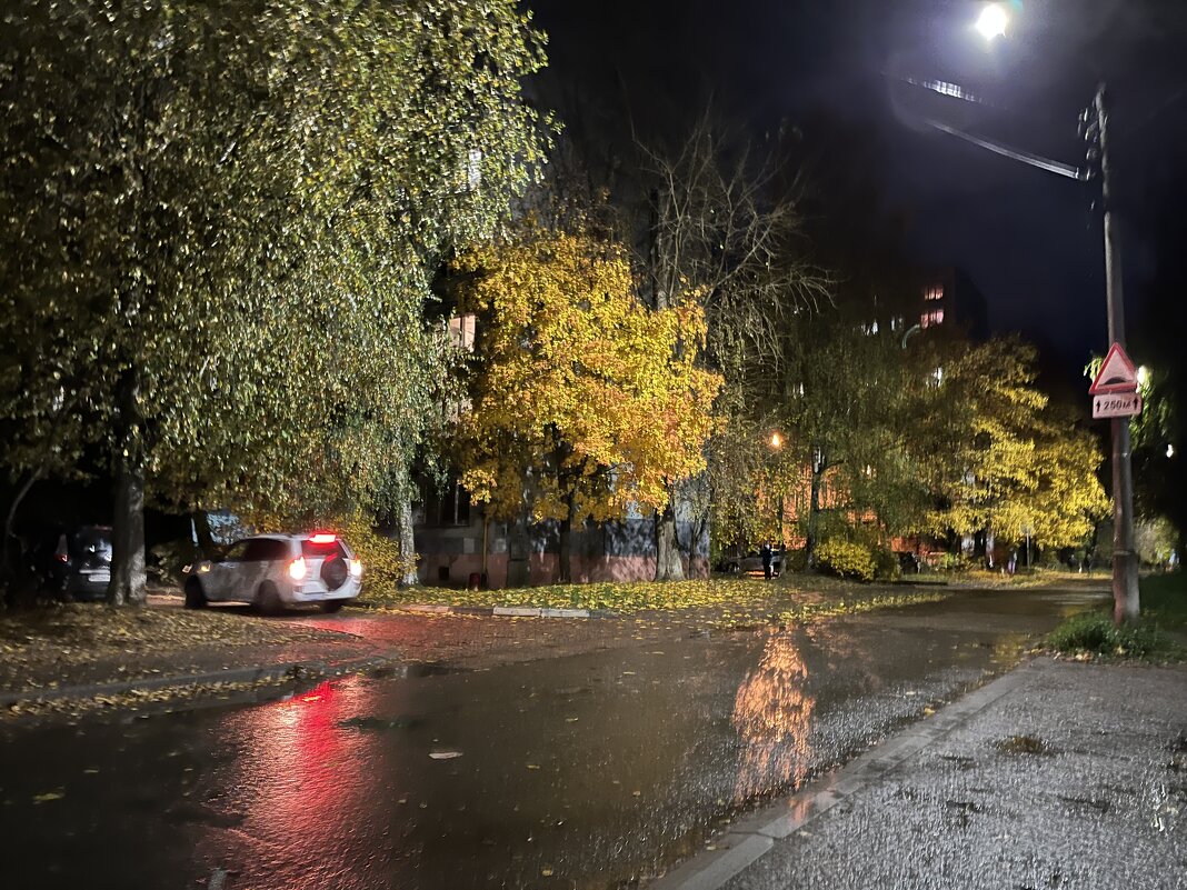 ***дождливый вечер*** - Olga Oskolkova