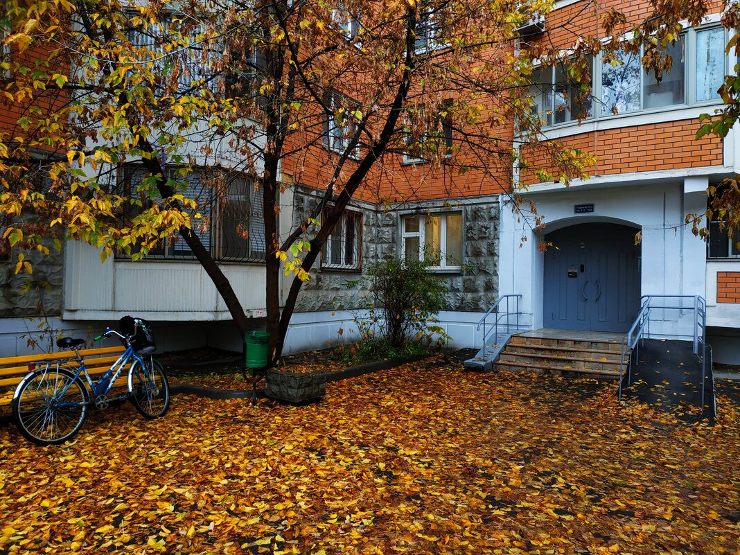 Закрытие велосезона (завтра - операция по удалению пластины из руки) - Андрей Лукьянов