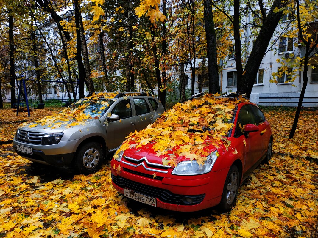 Закрытие велосезона (завтра - операция по удалению пластины из руки) - Андрей Лукьянов