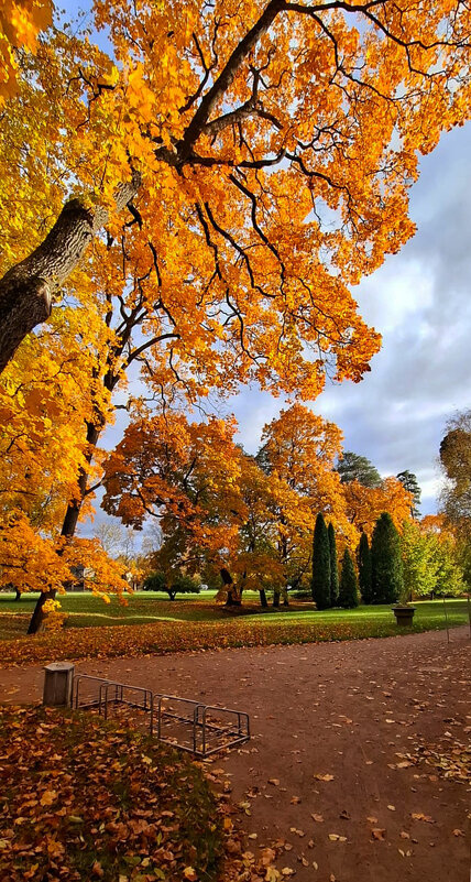 Оранжевая песня - Хватова Марина 