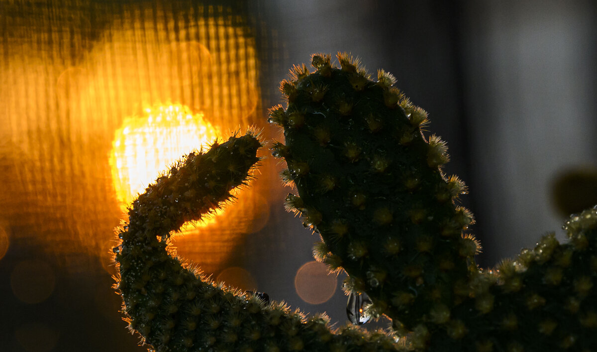 круиз по балкончику - Осень 