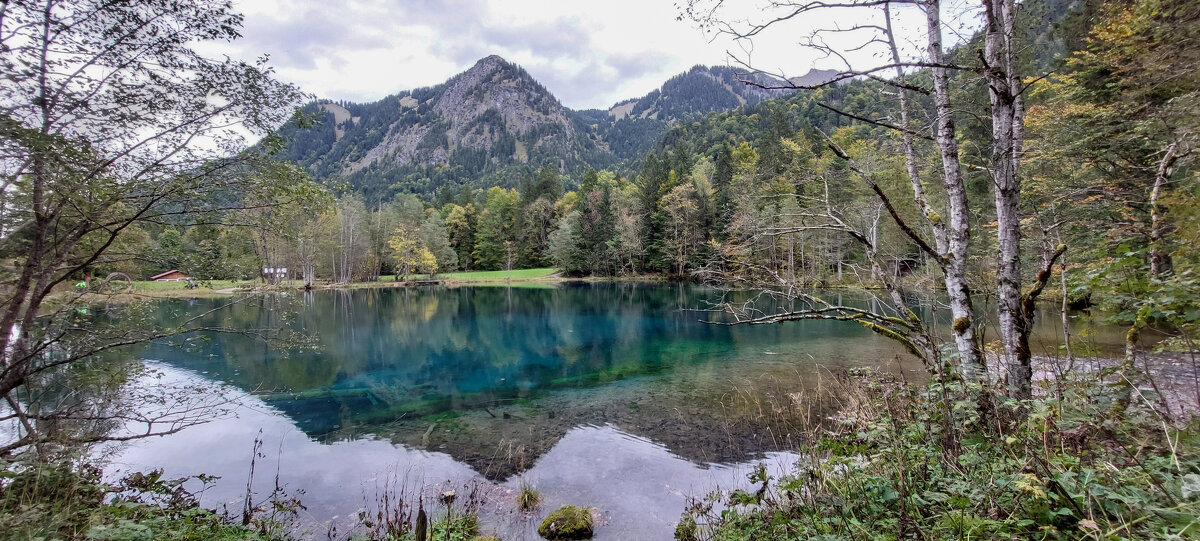 -- - vladimir -- - vladimir