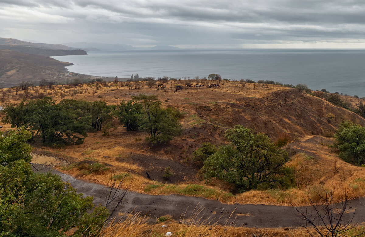 *** - Виталий Емельянов *** - Виталий Емельянов