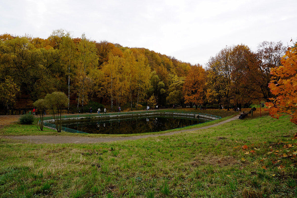 Осень в парке - Лариса Корж