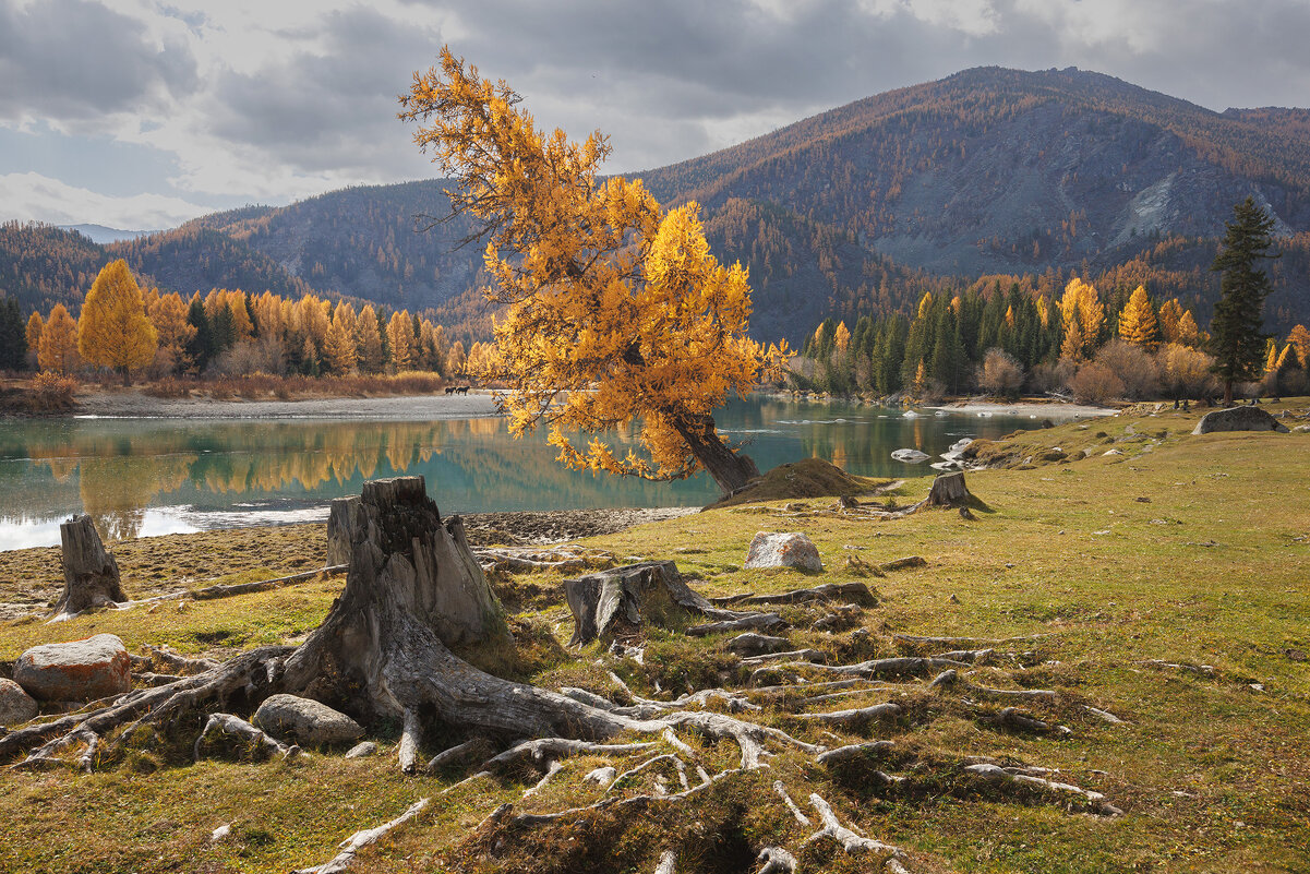 На берегу Аргута - Sergey38 