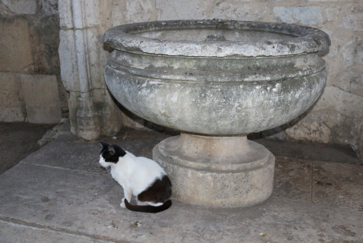 В крепости Лиссабона - Ольга В крепости Лиссабона - Ольга