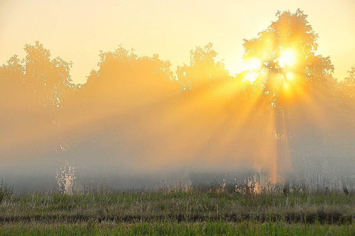Утро - Владимир Зыбин