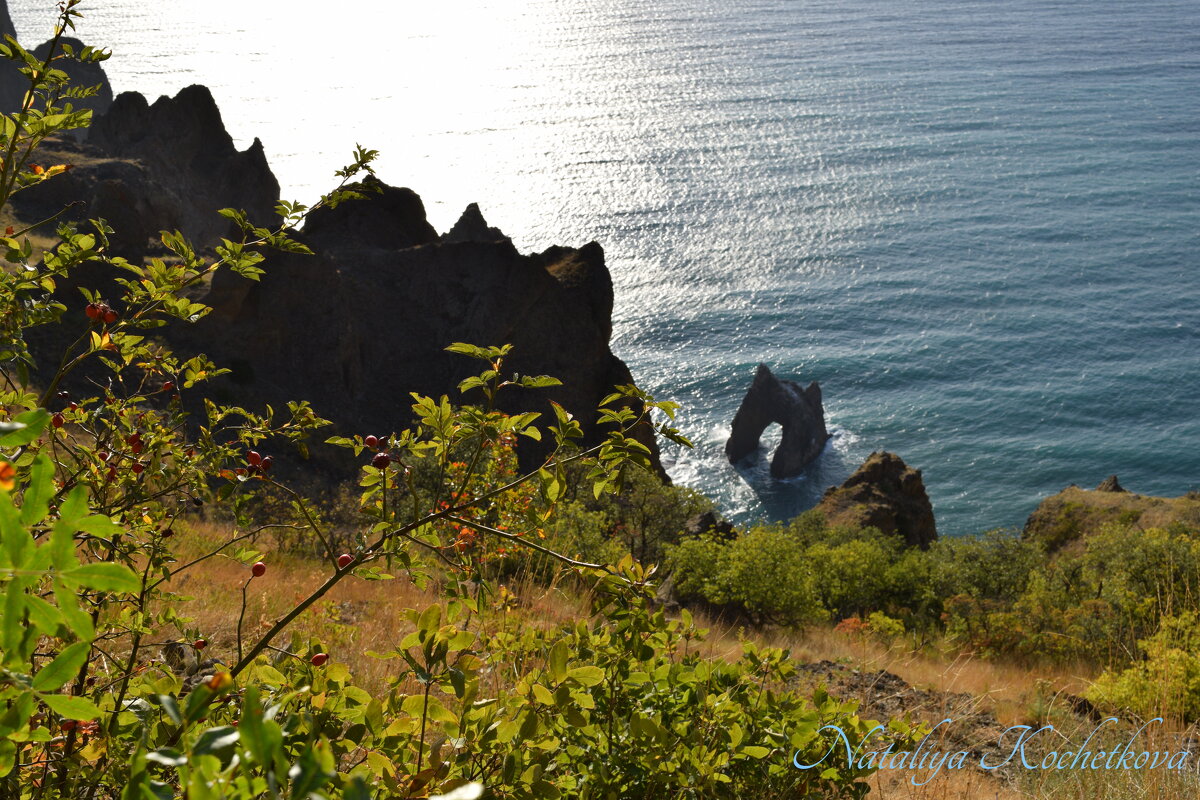 Природа Крыма - Amazing Cosmea