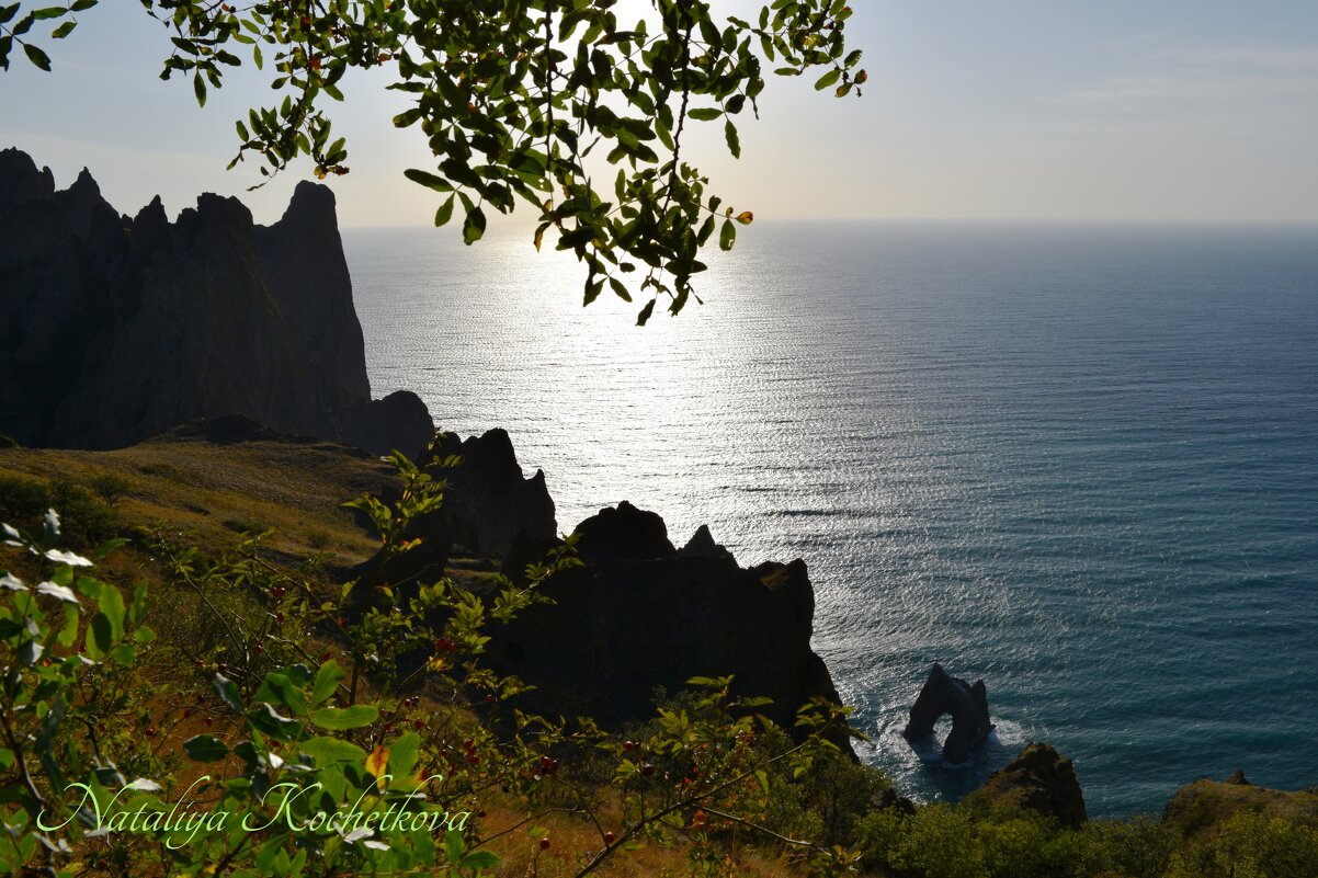 Природа Крыма - Amazing Cosmea