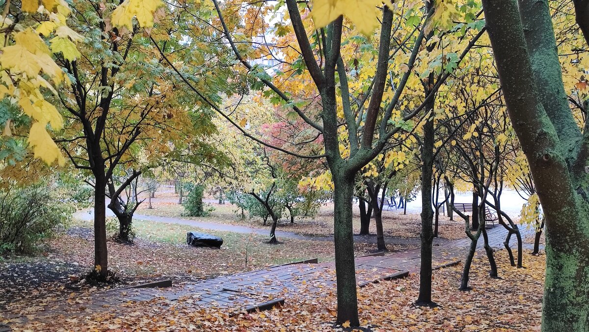 ,,, - Сергей Тимоновский ,,, - Сергей Тимоновский