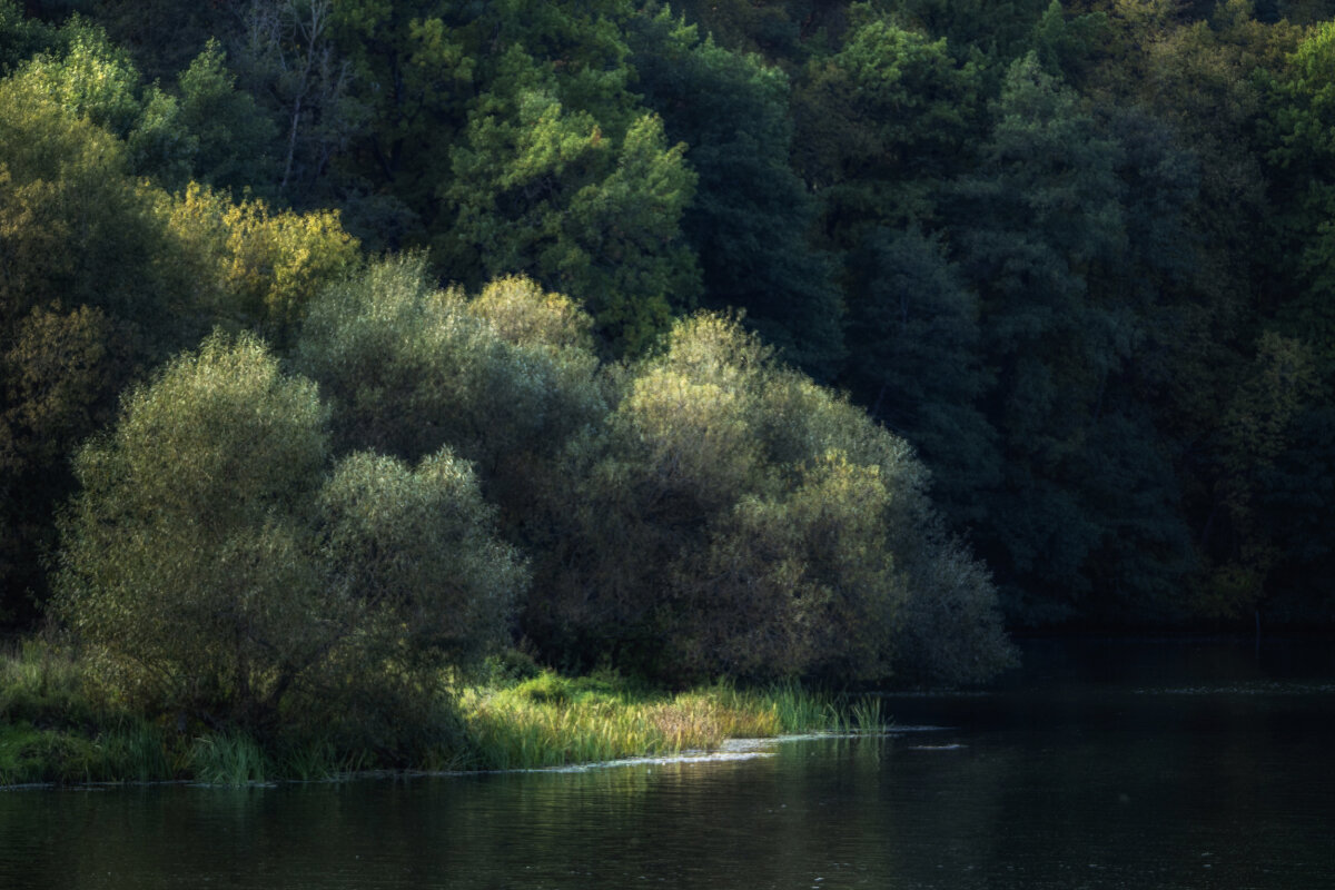 Тихий уголок - Владимир 