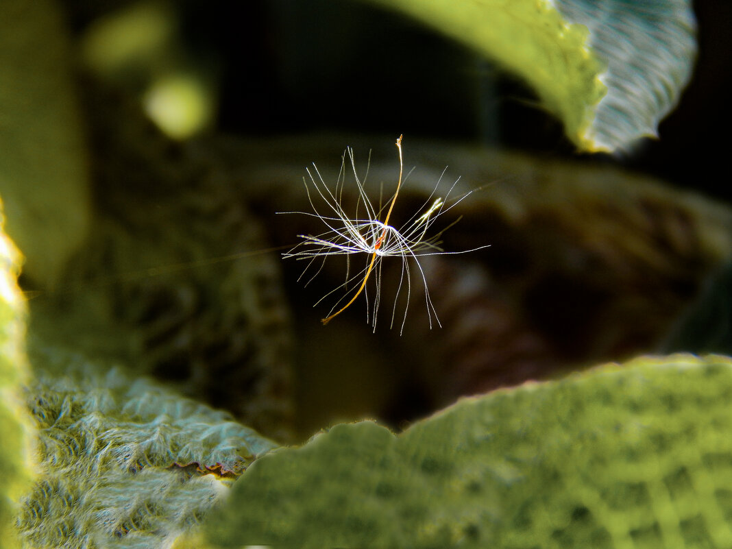 На паутинке - Александр Ковальчук