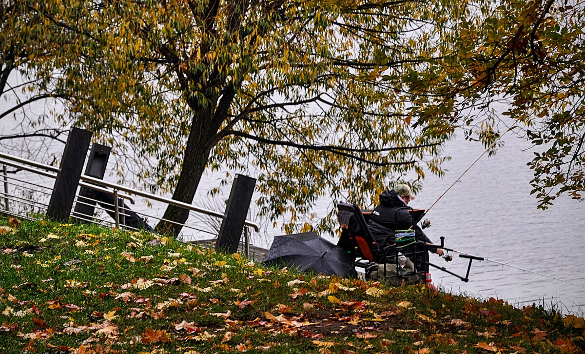 А нам всё равно ! Спасает зонт огромный ! - Анатолий Колосов